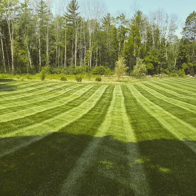 6a105c63 b65d 49ed 992a 02a6264645c5(1)